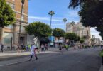 Des dizaines de coureurs, beaucoup en tee-shirts jaune fluo, remontent Hollywood Boulevard sous un ciel bleu, entre palmiers et immeubles anciens, avec au loin l'enseigne verticale du théâtre Pantages