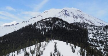 Le sommet enneigé du Mont Shasta sous un ciel bleu, au-dessus d'une butte boisée et des pistes damées du Mt. Shasta Ski Park