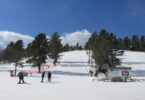 Skieurs et surfeurs au pied d'une piste enneigée de Nashoba Valley, à Westford, avec le télésiège, des pins et un ciel bleu