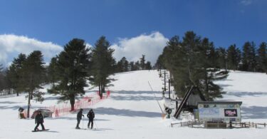 Skieurs et surfeurs au pied d'une piste enneigée de Nashoba Valley, à Westford, avec le télésiège, des pins et un ciel bleu