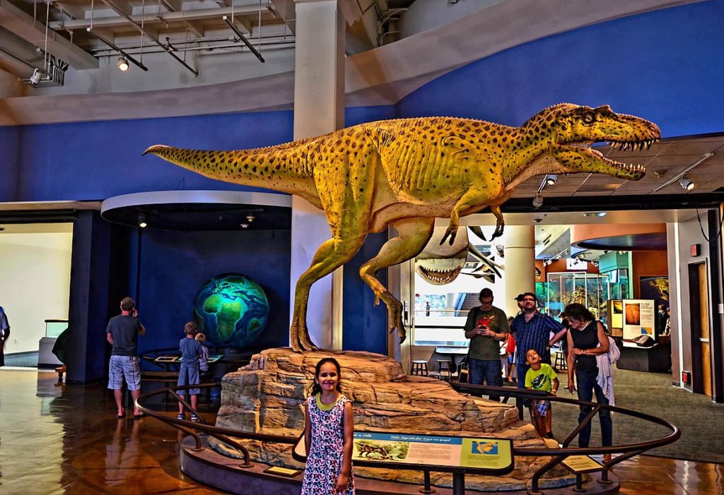 1200px-San_Diego_Natural_History_Museum_(19716473591)