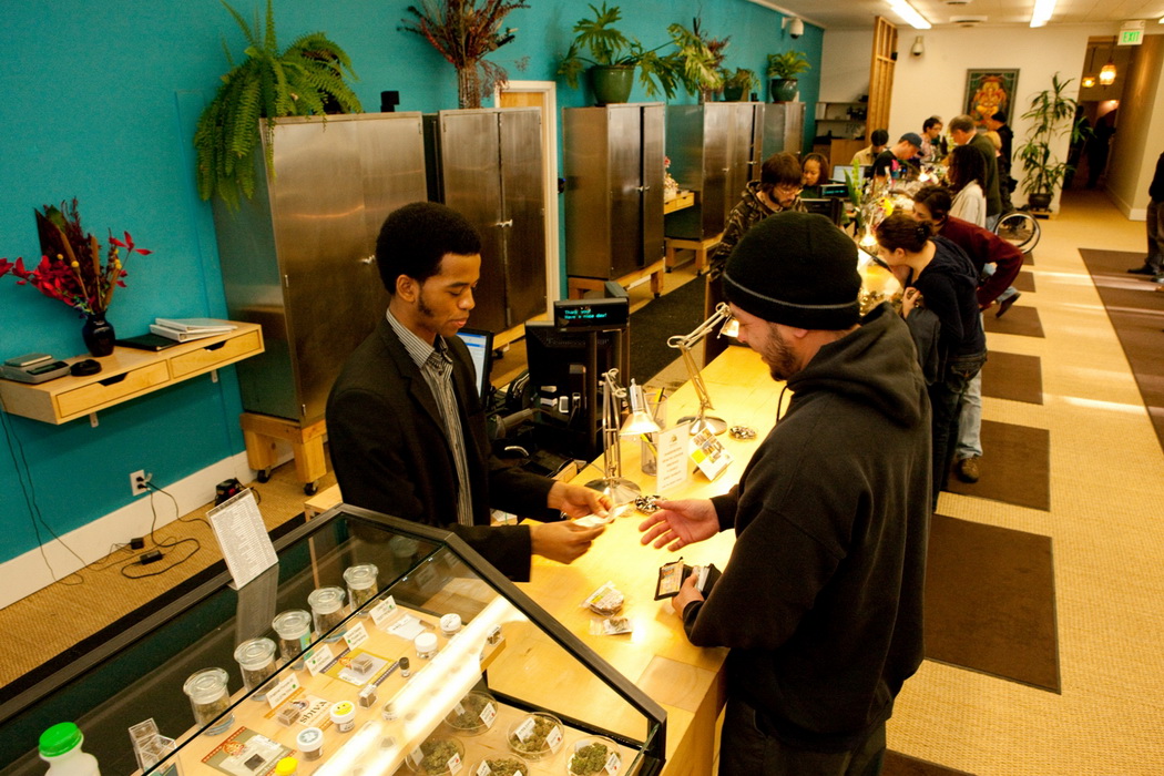 cannabis-loi-consommation-medicale-plantation-01
